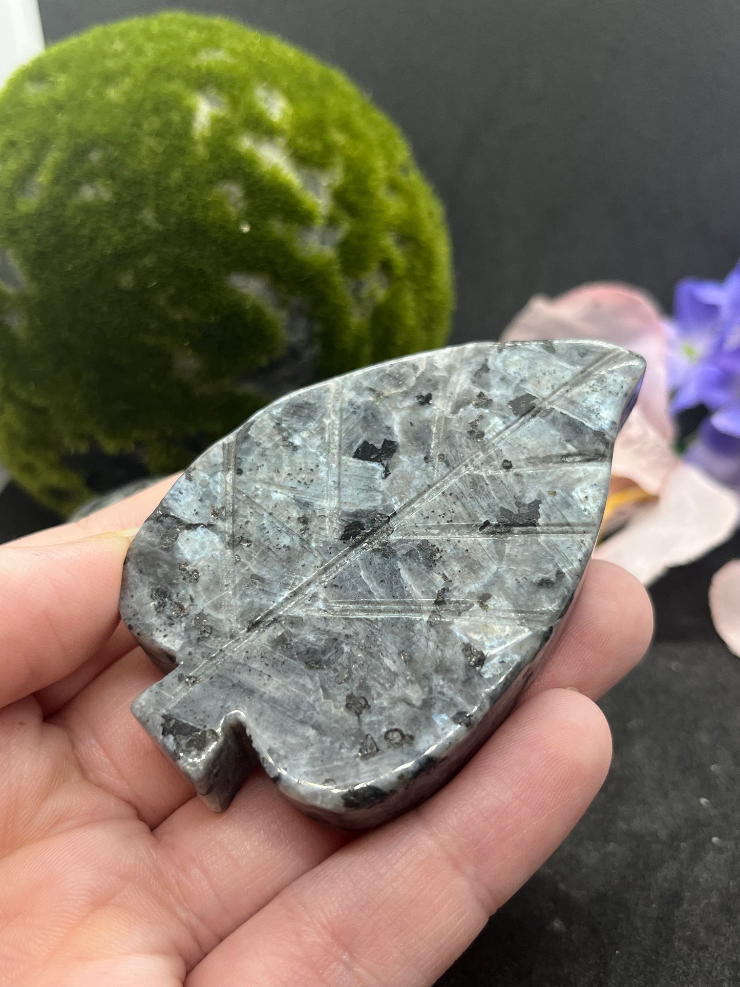 Larvakite Leaf