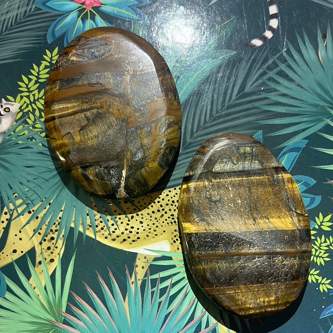 Tigers Eye Palm Stone