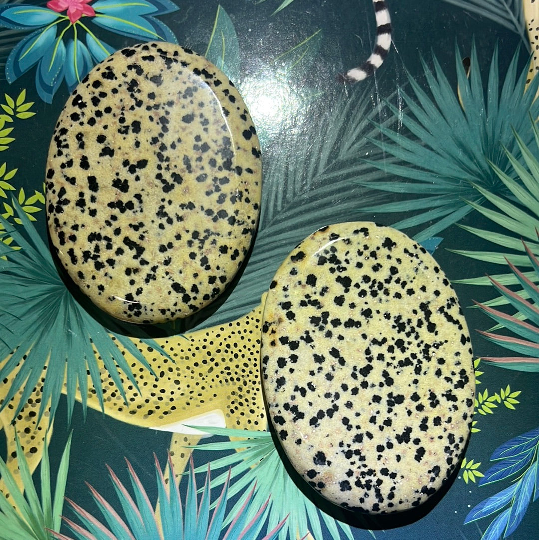 Dalmatian Jasper Palm Stone