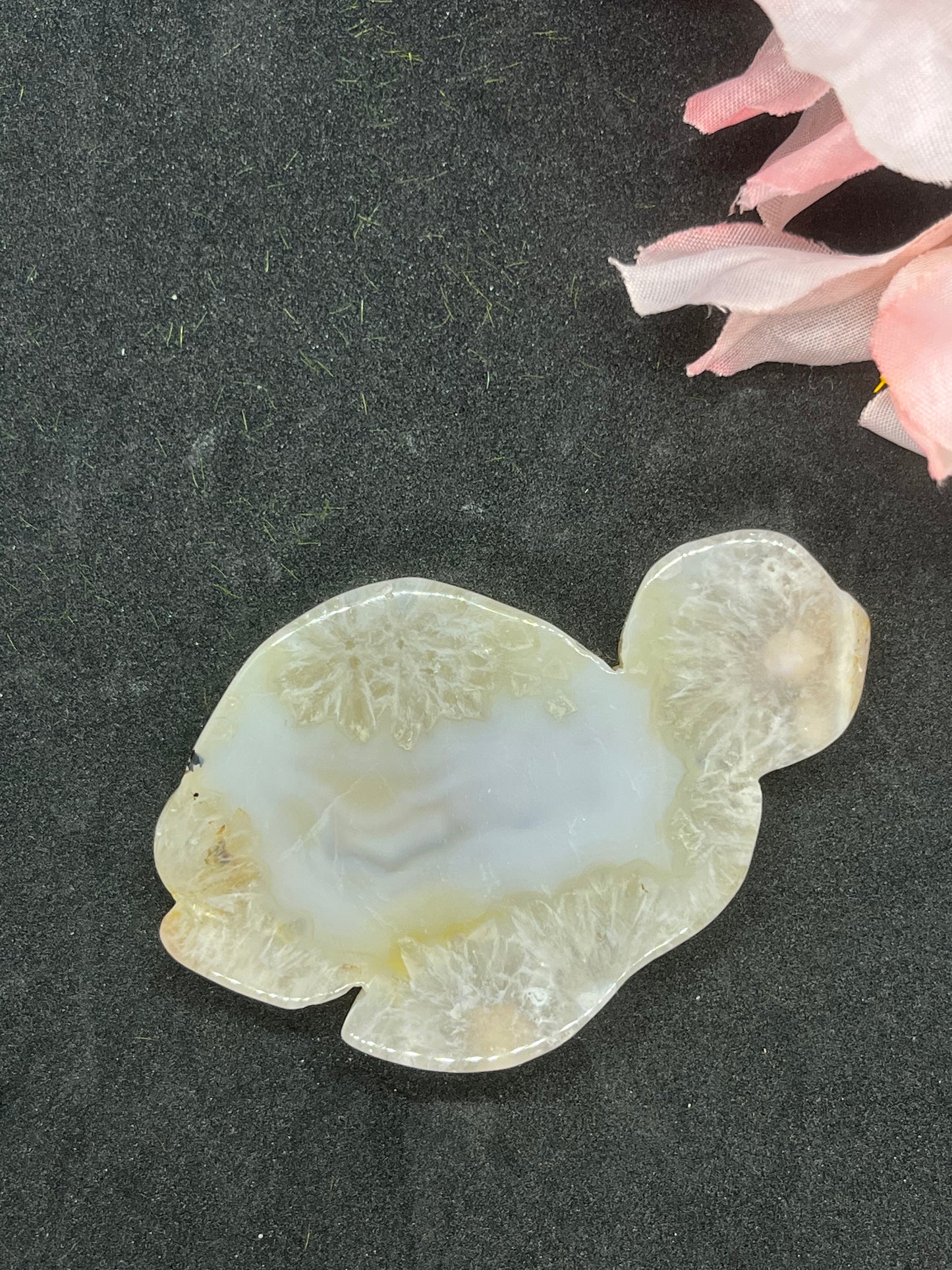 Agate Turtle