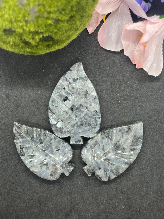 Larvakite Leaf