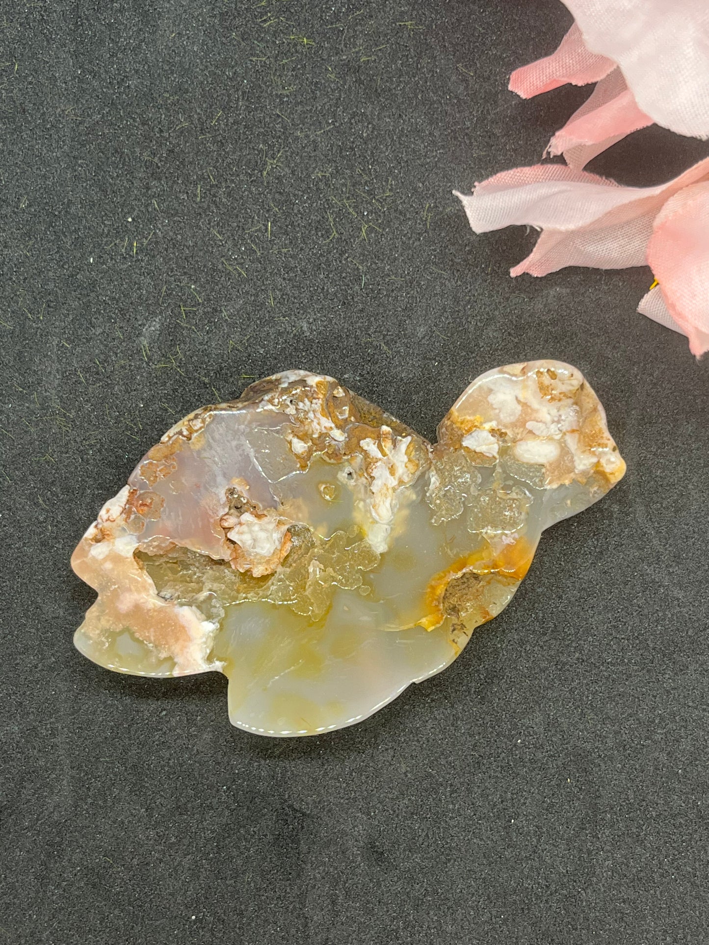 Agate Turtle