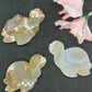 Agate Turtle