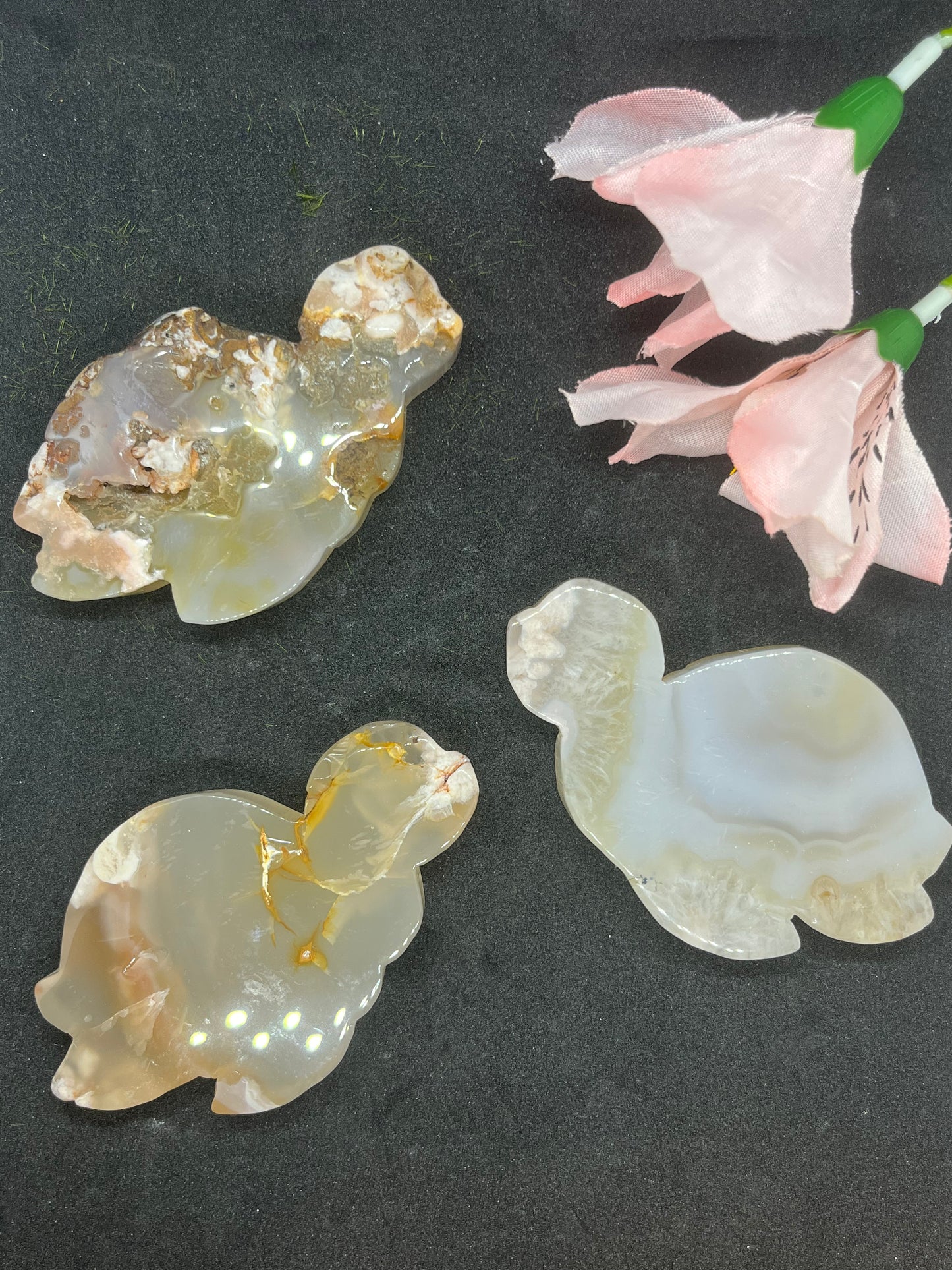 Agate Turtle