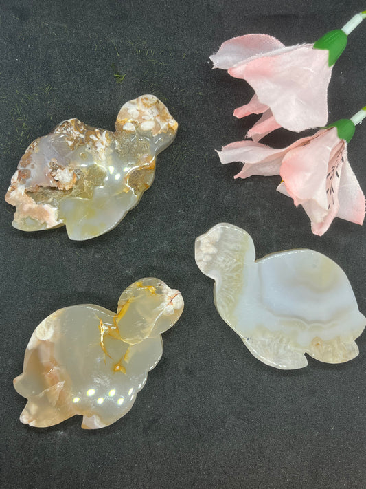 Agate Turtle