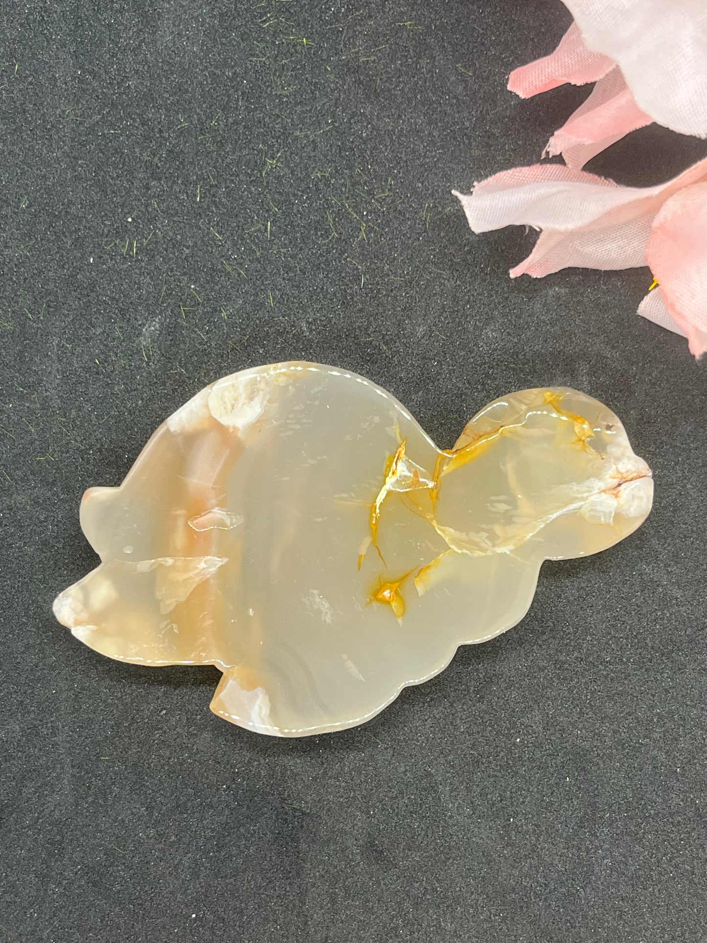 Agate Turtle
