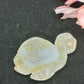Agate Turtle